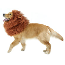 Load image into Gallery viewer, GABOSS Lion Mane Costume, Dog Lion Wig for Dog Pet Festival Party Fancy Hair Dog Clothes (Dark Brown with Ear), Large