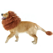 Load image into Gallery viewer, Lion Mane for Dog Costume, Realistic Funny Lion Wig for Medium to Large Sized Dogs, Halloween Fancy Dog Lion Mane